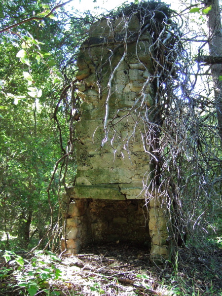 An old stone fireplace with roots growing from the chimney