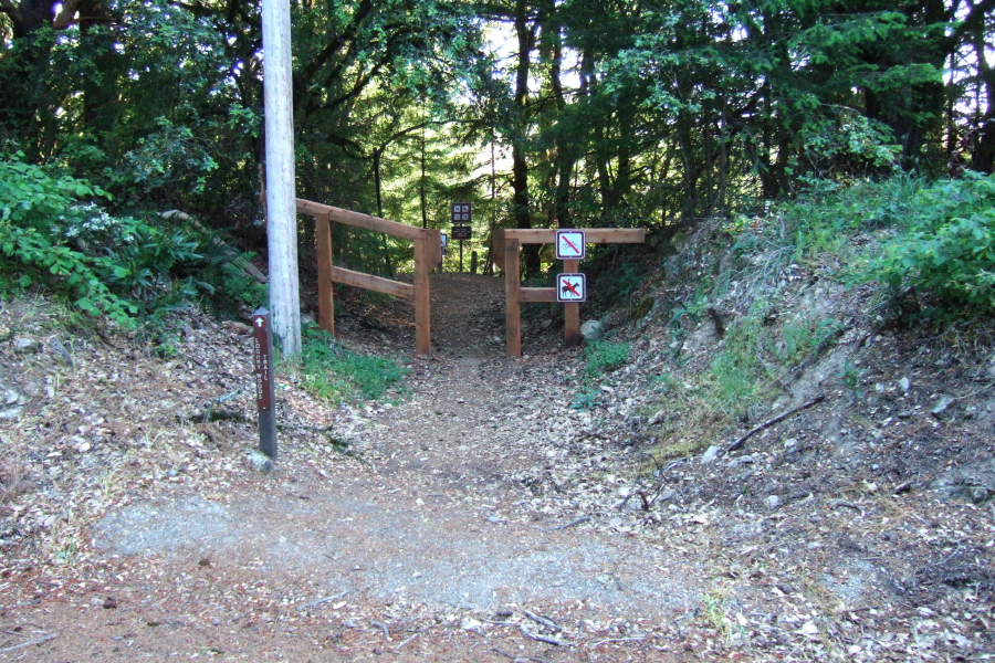 Loghry Woods Trail entrance at Skyline Blvd.