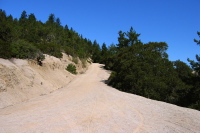 South Butano Fire Trail, looking back uphill (1138ft)