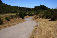South Butano Fire Trail at Cloverdale Rd. (163ft)