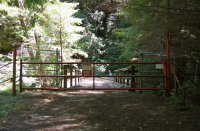 Old Haul Rd. gate at Trestle Creek (510ft)