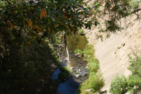 View of Pescadero Creek from service road in Portola State Park (500ft)