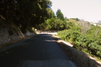 Approaching Portola State Park Rd. and Alpine Rd. (1570ft)