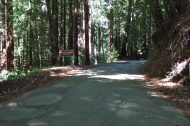 Entering Big Basin Redwoods State Park on China Grade Road