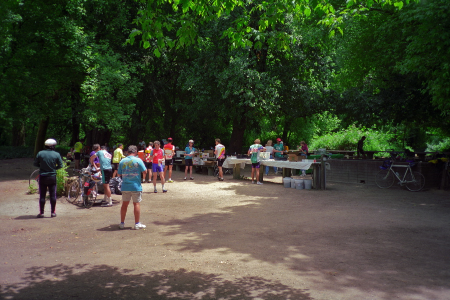 Lunch stop at Henry Cowell Redwoods