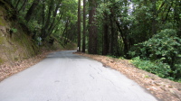 Descending Eureka Canyon Rd. (1460ft)