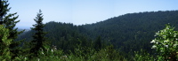 Santa Cruz Overlook, Henry Cowell Redwoods (600ft)