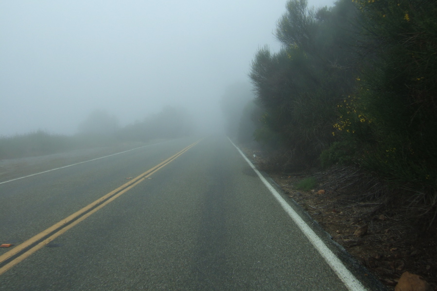 Fog on Skyline Blvd.