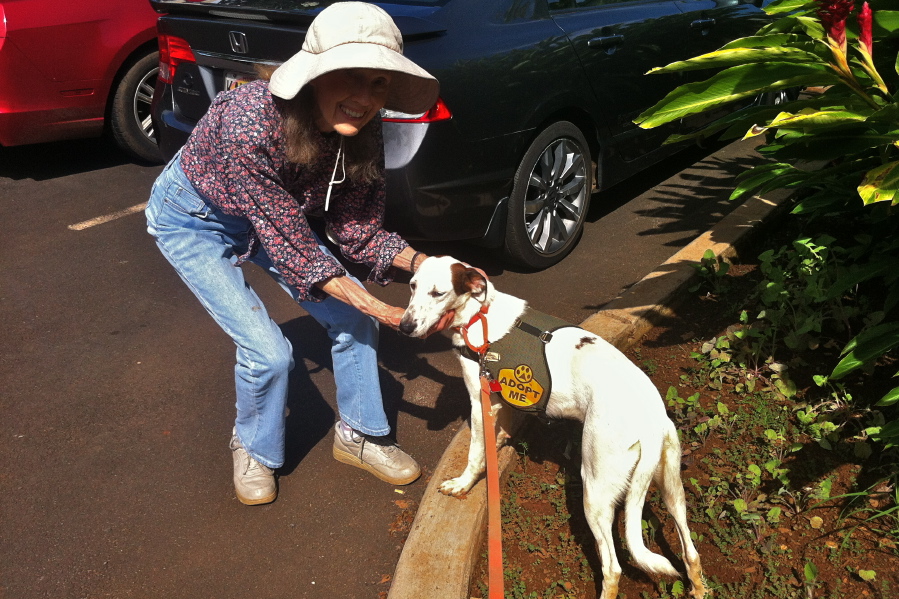 Kay and the shelter dog on a field trip