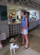 Laura at the Kaua'i Humane Society, taking one of the dogs on a field trip