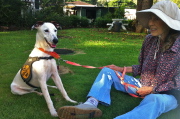 Kay and the shelter dog on a lawn (4)