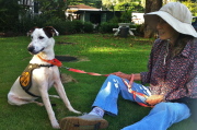 Kay and the shelter dog on a lawn (4)