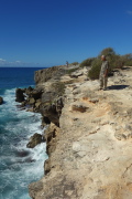 David stands atop the limestone cliffs above a churning sea.