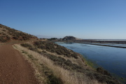 On Apay Way heading from Coyote Hills to Don Edwards and Marshlands Road