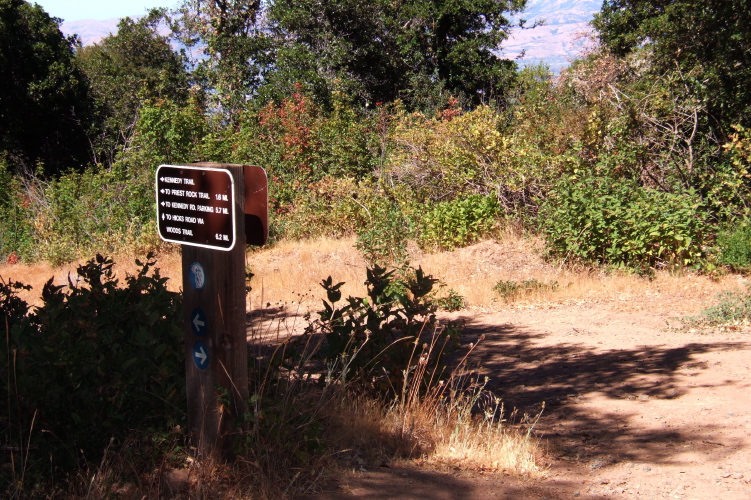 Junction of Limekiln Trail, Kennedy Trail, and Woods Trail.
