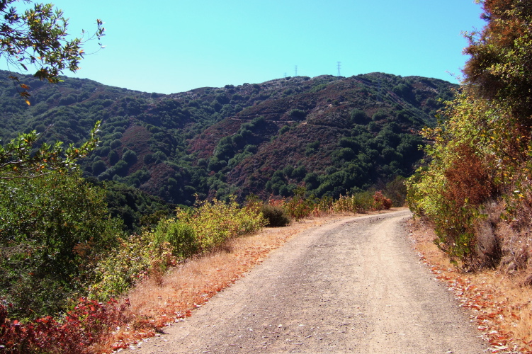 Mt. El Sombroso (2999ft) from Woods Trail.