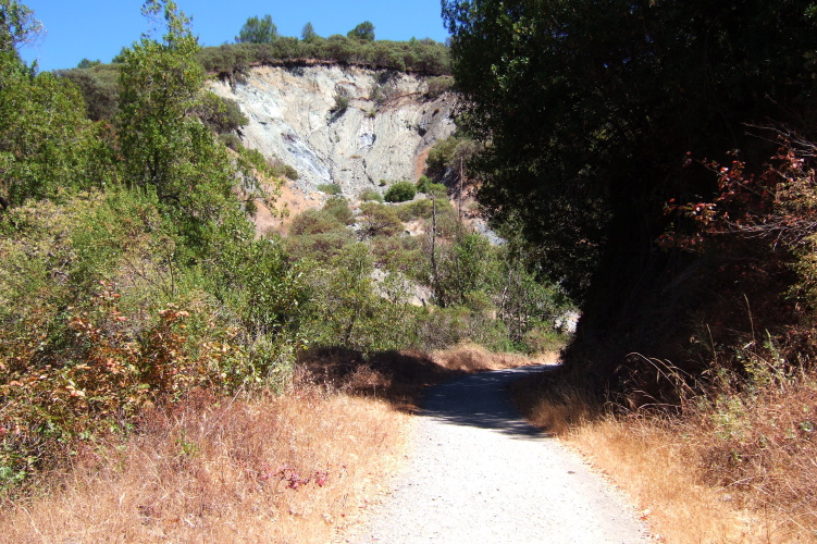 First mile along the Limekiln Trail.