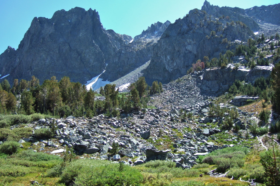 View uphill from Sky Meadow.