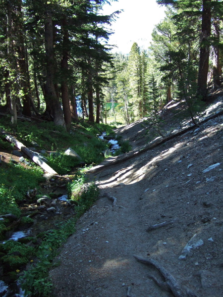 Descending the trail to Emerald Lake