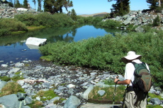 How do we get around this small pond?