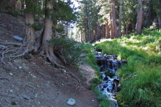 The trail to Sky Meadows runs alongside a tributary of Coldwater Creek.
