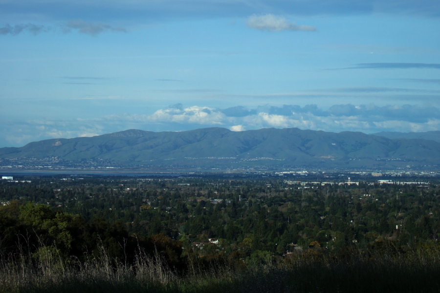Mission Peak and Mt. Allison from Mora Hill.