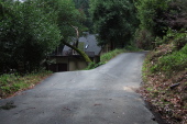 Thompson Road ends as it forks into two driveways.