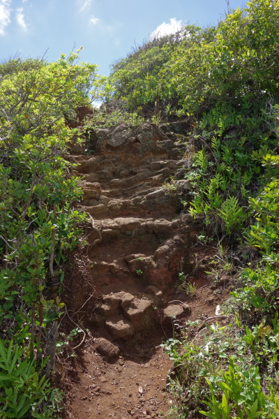 A typical steep section of trail.