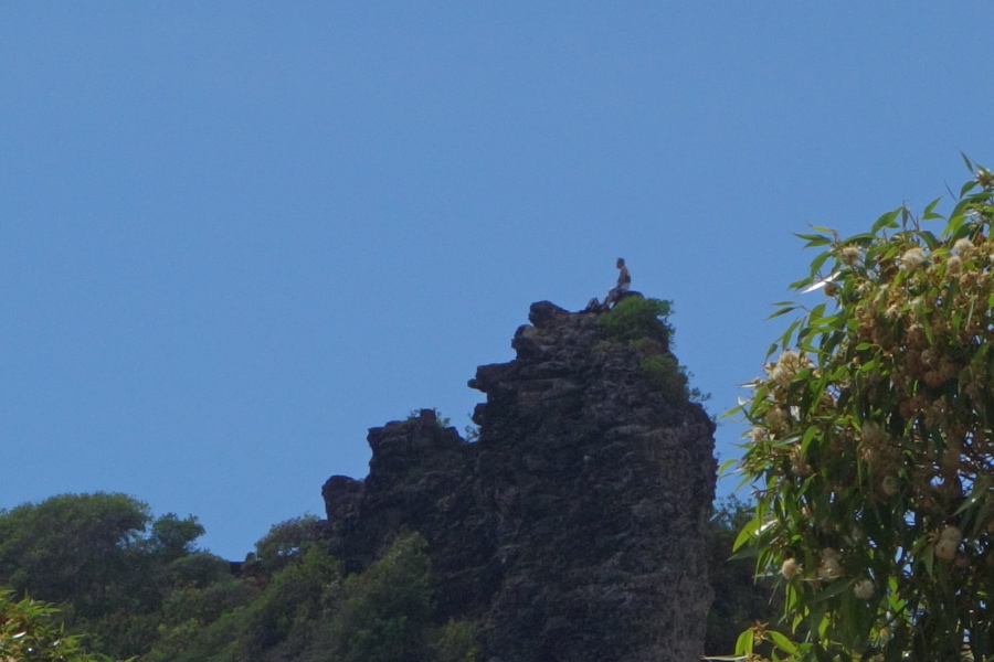 A hiker rests atop one of the pinnacles on Mt. Nounou.