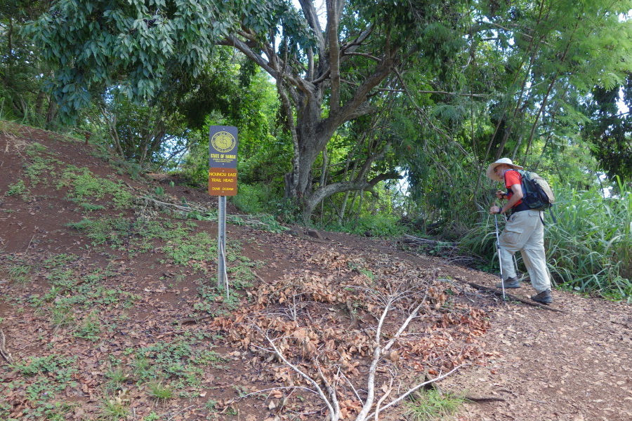 David starts up the trail.