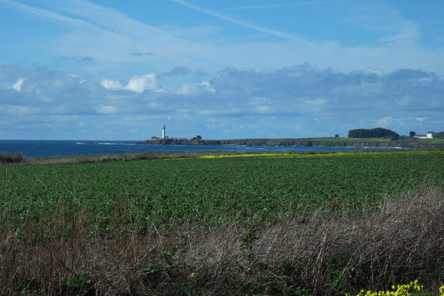 Pigeon Point Lighthouse from Gazos Creek Beach