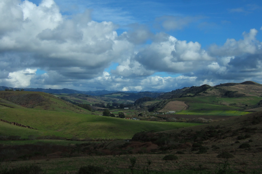 San Gregorio from Stage Rd.
