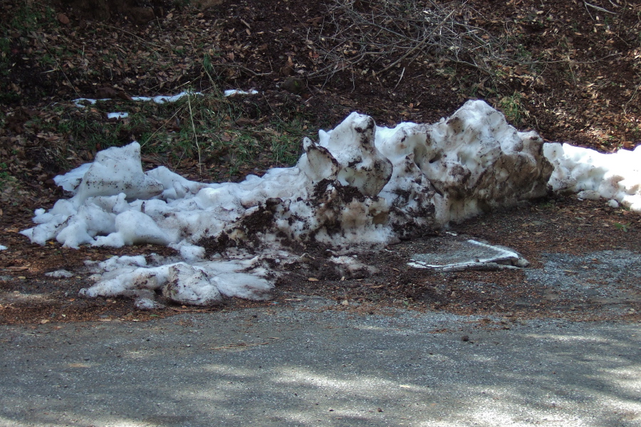 Old pile of snow at the top of Soda Springs Rd. (3100ft)