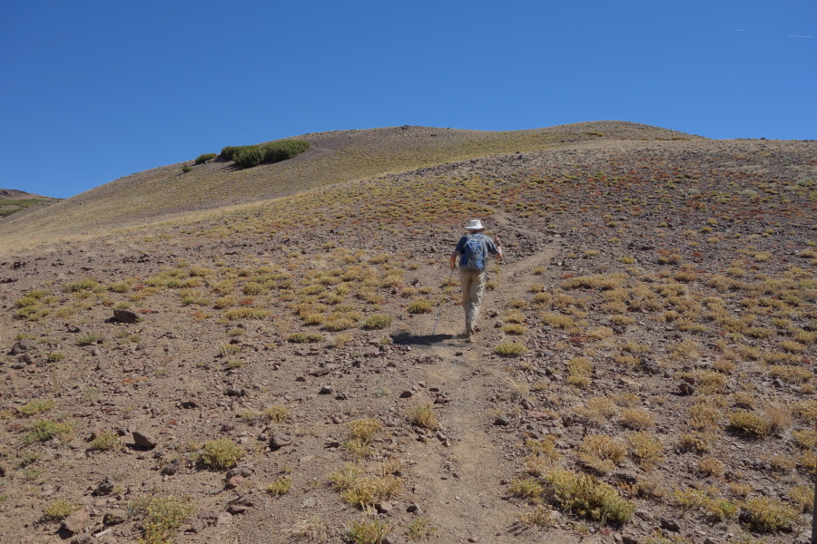 Frank marches ahead up the trail from St. Mary's Pass.