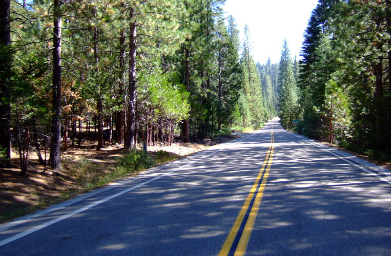 CA108 passes through the trees near Strawberry (5800ft).