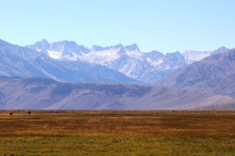 Sawtooth Ridge from Bridgeport, CA