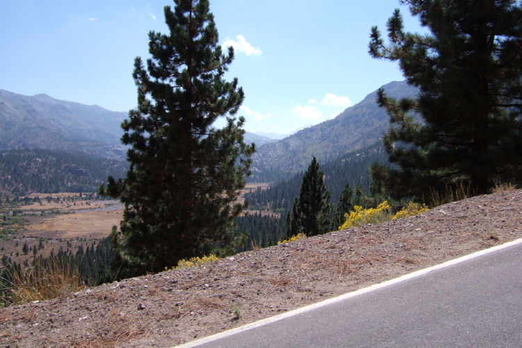 Climbing out of Leavitt Meadow toward Sonora Pass.