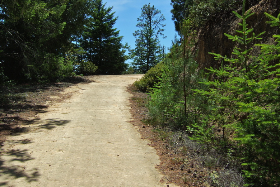 In places the road crosses smooth sandstone.