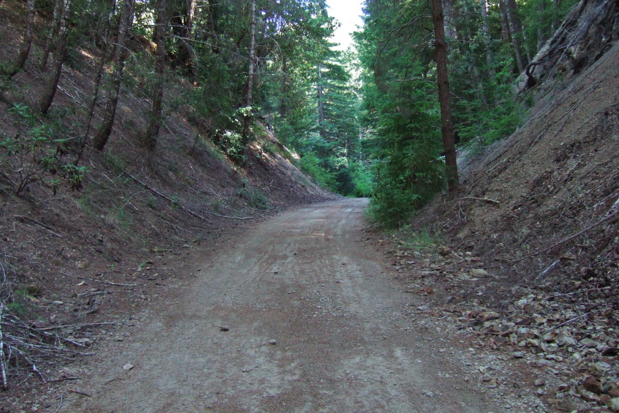 Old Haul Road passes through a cut in the hill.