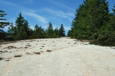 View up the old airstrip from the south end