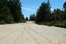 View south from the north end of the old airstrip near the shed.