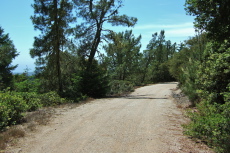 Starting down South Butano Road west of the airstrip