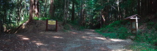 Old Haul Road and Portola State Park
