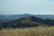 Mindego Hill from Borel Hill