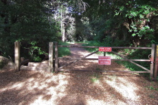 The Meadow Trail in Coal Creek Open Space Preserve