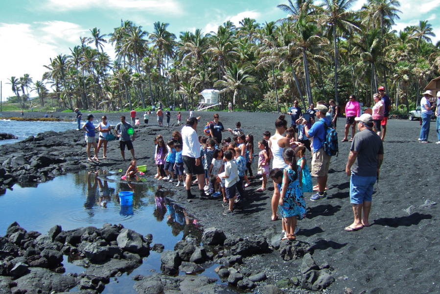 Schoolchildren on a field trip to the black sand beach of Punalu'u