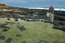 David stands before a miniature green sand beach.