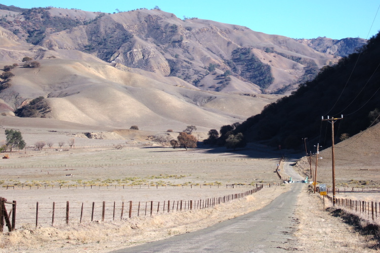 View up Lewis Creek Rd.