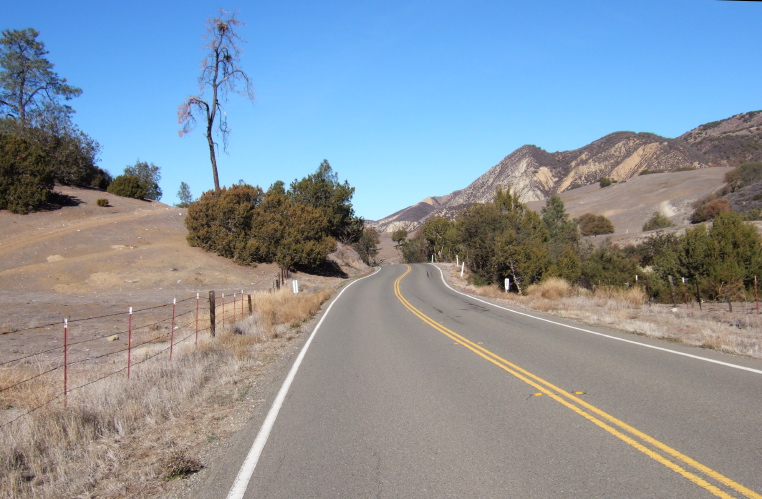 The Windmill Tree marks the transition from Little Rabbit Valley to Rabbit Valley. (1730ft)