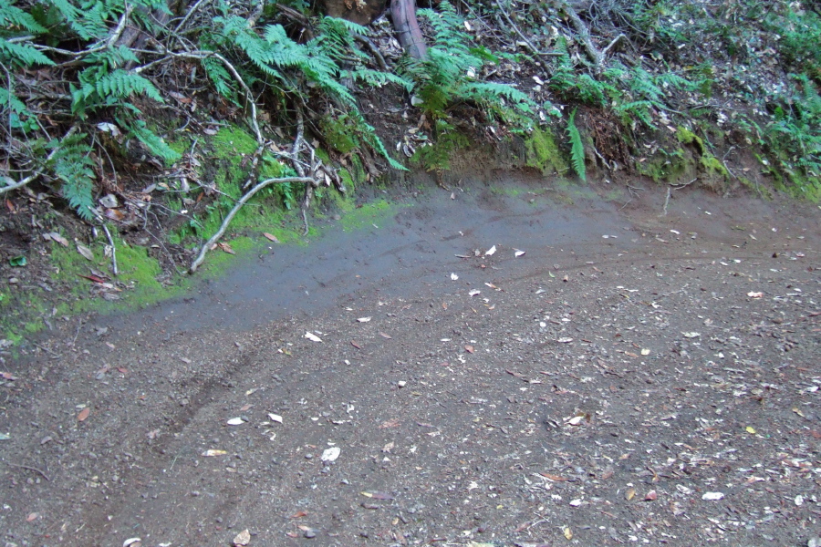 A curve on the trail worn smooth by bike tires